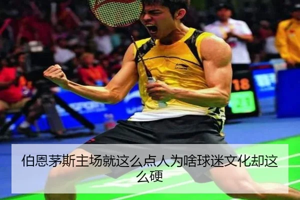 伯恩茅斯主场就这么点人为啥球迷文化却这么硬