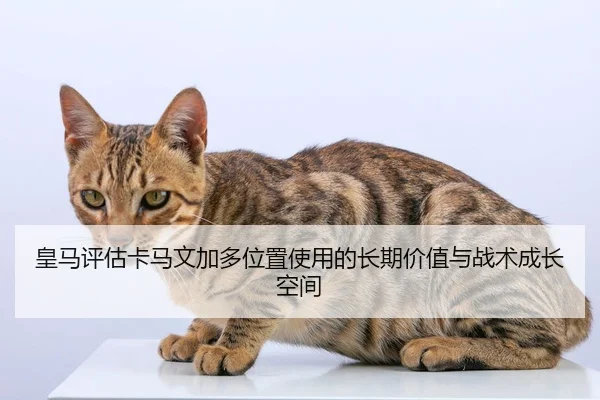 皇马评估卡马文加多位置使用的长期价值与战术成长空间