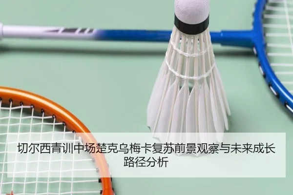 切尔西青训中场楚克乌梅卡复苏前景观察与未来成长路径分析